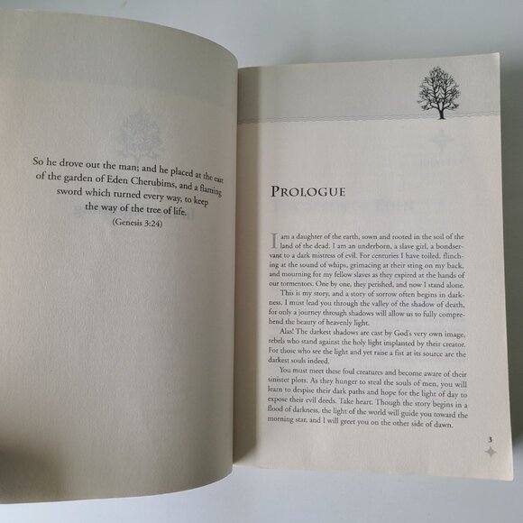5/$12 Book Eye of the Oracle Bryan Davis Oracles of Fire 1 Christian YA Fantasy - Picture 7 of 7